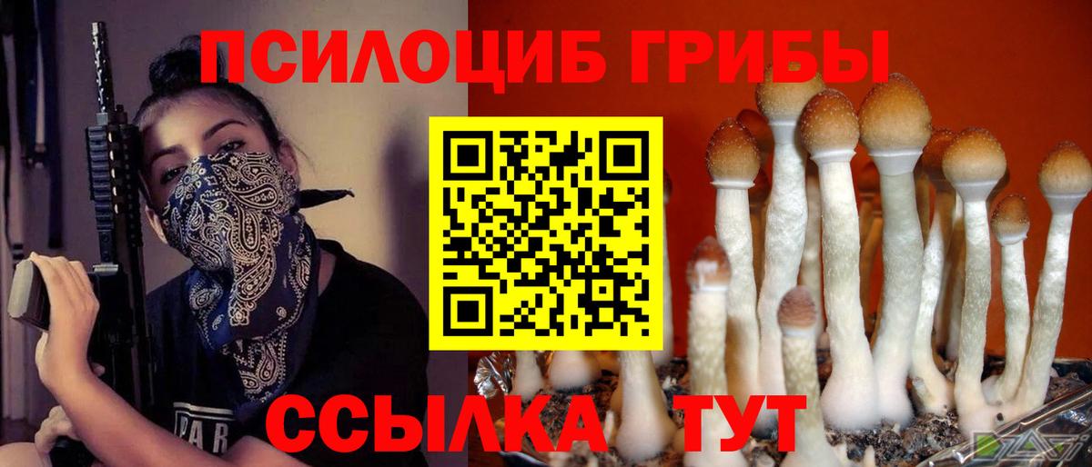 магазин    Псилоцибиновые грибы Cubensis  Вход с VPN  Борисоглебск  Псилоцибиновые грибы Psilocybe 